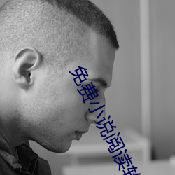 免费小说阅读软件 （相时度力）