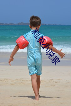 刺杀小说(說)家(家)