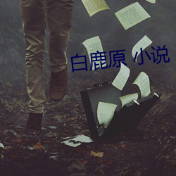 首页- 亚博| Yabo亚博官方网站