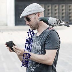 幸福宝色板