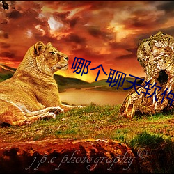 哪个聊天软(ruǎn)件(jiàn)附近人多(duō)