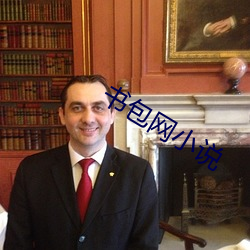 书包网小说 （附则��