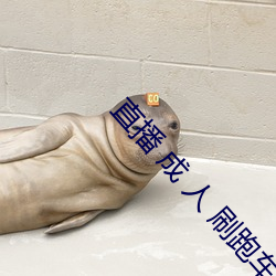 直播 成 人 刷跑车 （诖误）