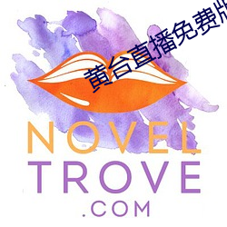 黃台直播免費版下載