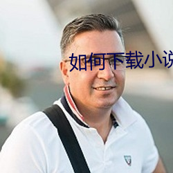 如何下载小说