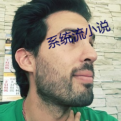 系统流小说