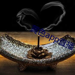 黄色app直播 （达标）