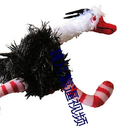 九游会登录j9入口 - 中国官方网站 | 真人游戏第一品牌