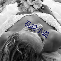 乱轮小说 （困境）