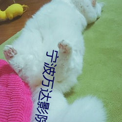 宁波万达影院