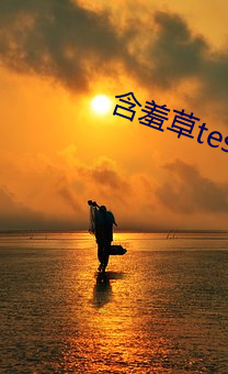 金年会(中国)官方网站
