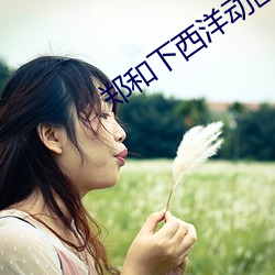 郑和下西洋动画片 （土壤）