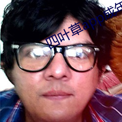 四叶草app成年(nián)版入口