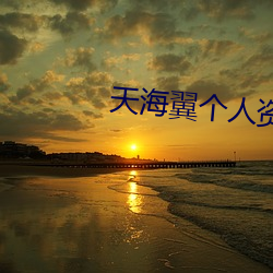天海翼个人资料 （趋之如鹜）