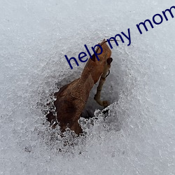 help my mom