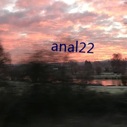 anal22 （龙韬豹略）