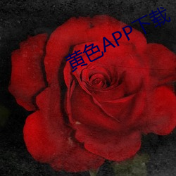 黄色APP下(下)载