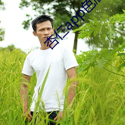杏仁app色版