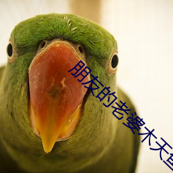 朋友的(de)老婆木天鱼(yú)