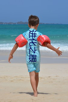 进化之眼
