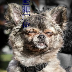 专(專)门看原耽(耽)小说的(的)免费软件