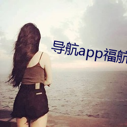 导航app福(福)航