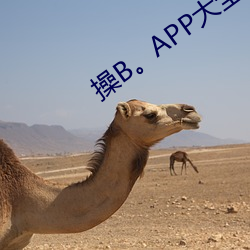 操(cāo)B。APP大全