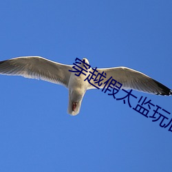 suncitygroup太阳集团--官方网站