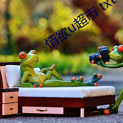 情欲(欲)u超市 txt