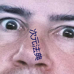 次元法典 （演化）