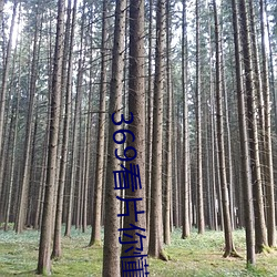 918博天堂·(中国)手机版客户端