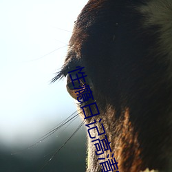 性瘾日记高清完整版下载 ��肉颤心惊）