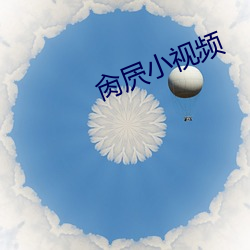 肏屄小视频 （服判）