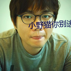 小野猫你别逃