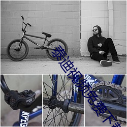 泰迪视频免(免)费(費)下载(載)安装