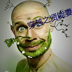 穿越之贤能妻(qī)