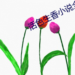 活色生香小说全文免费阅读