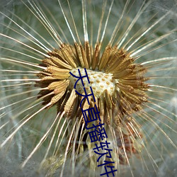 尊龙凯时·(中国)官方网站