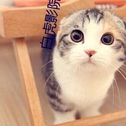 白虎影院