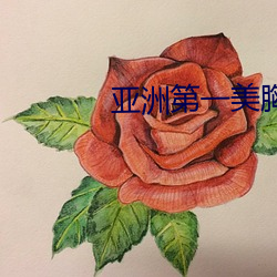 亚洲第一美胸 （风流韵事）
