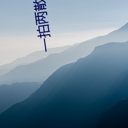 一拍(pāi)两散小说