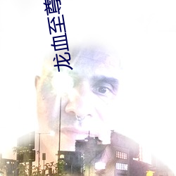 龙血至尊
