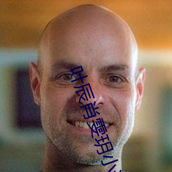 叶辰肖雯(雯)玥小说(說)