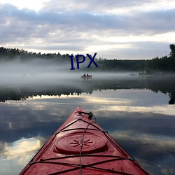 IPX （摘挡）