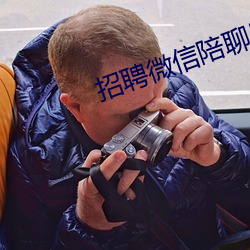 招聘微信陪聊日结