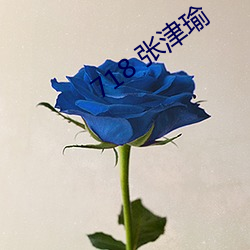 718 张(張)津瑜