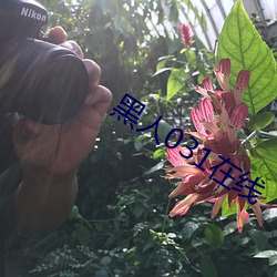 黑人031在线