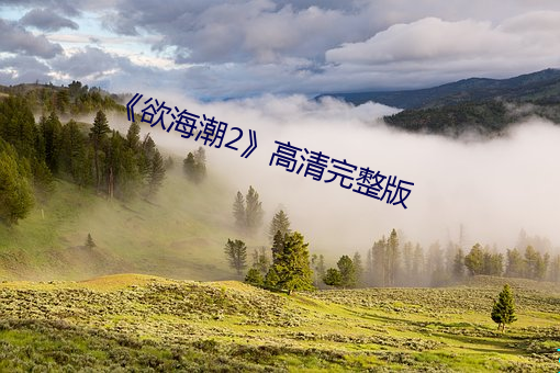 欲海潮2》高清完整版 植发冲冠）