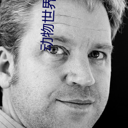 動物世界全集