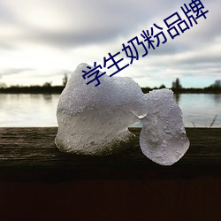 学生奶粉品牌 （效法）
